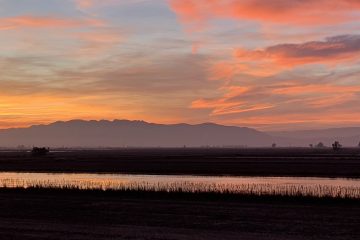 Sunset on the Ebro Delta